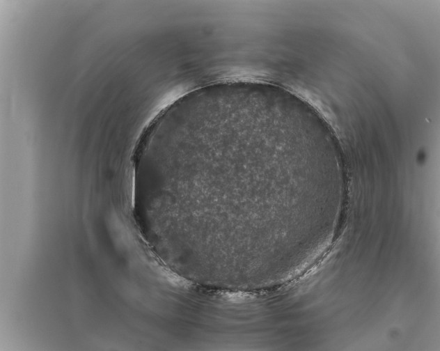 X0000095541219200712211340