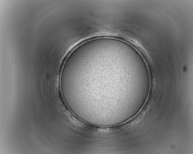 X0000095541220200712211340