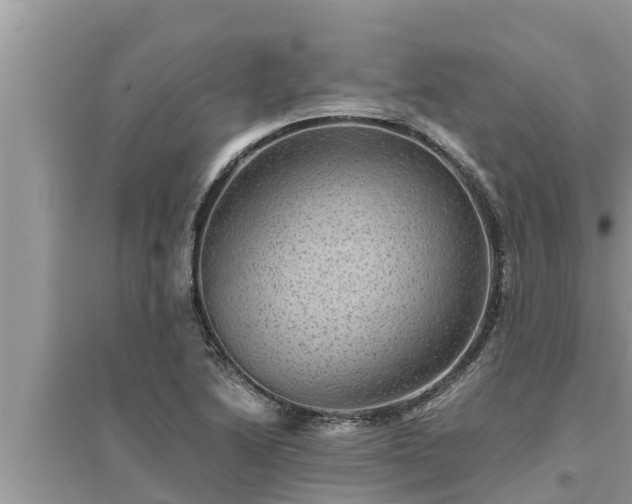 X0000095541222200712211340