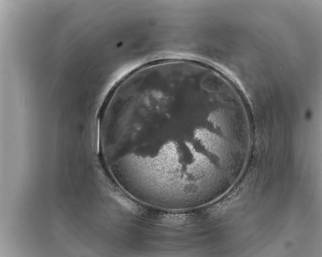 X0000095541223200712211340