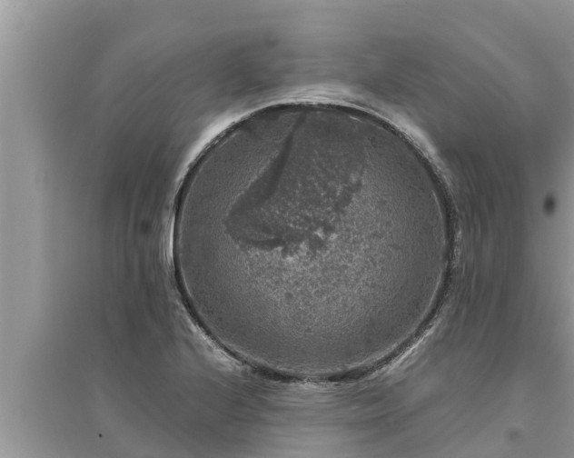 X0000095541224200712211340