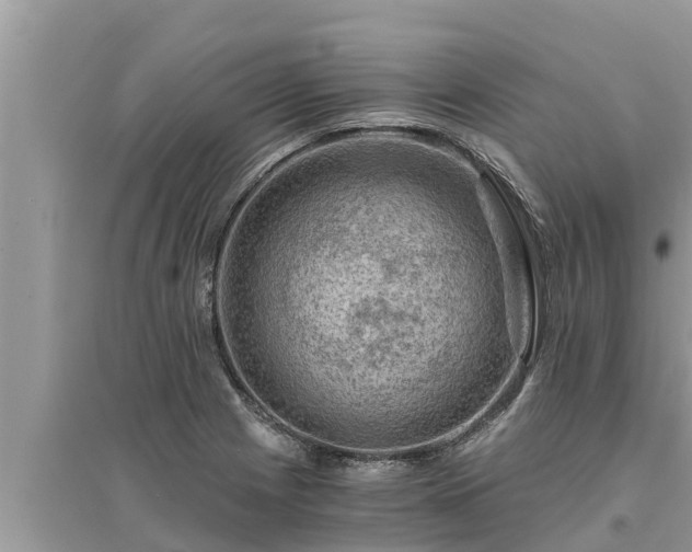 X0000095541225200712211340