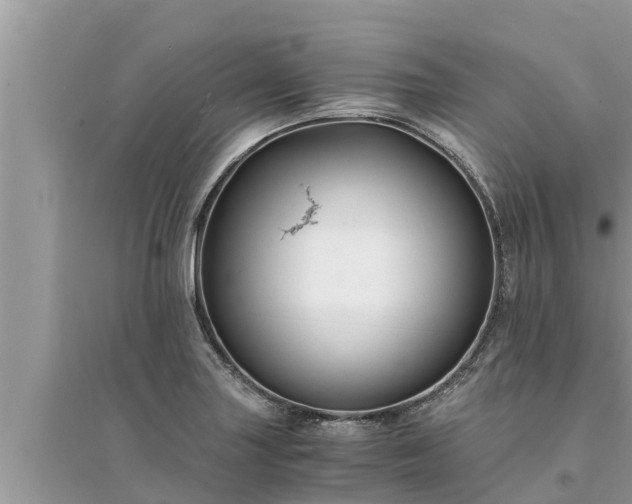 X0000095541227200712211340