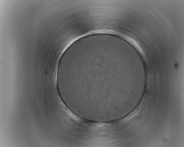 X0000095541228200712211340