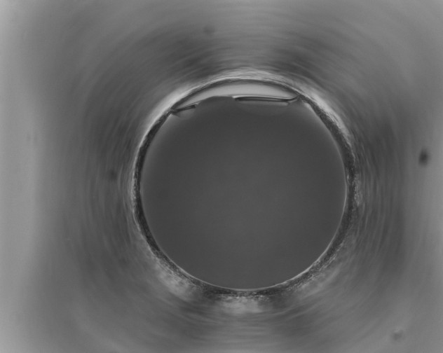 X0000095541229200712211340