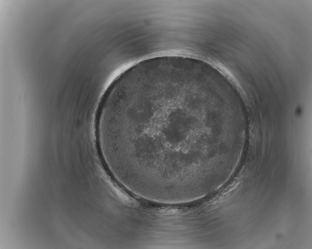 X0000095541230200712211340