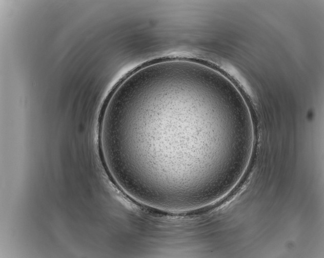 X0000095541232200712211340