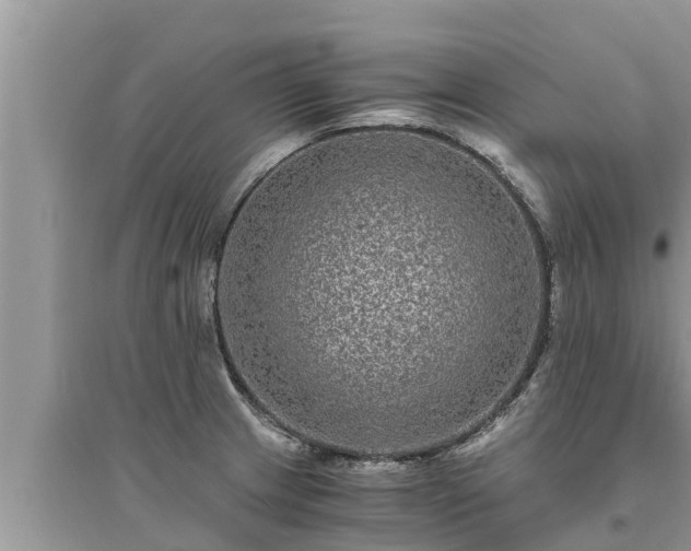 X0000095541233200712211340