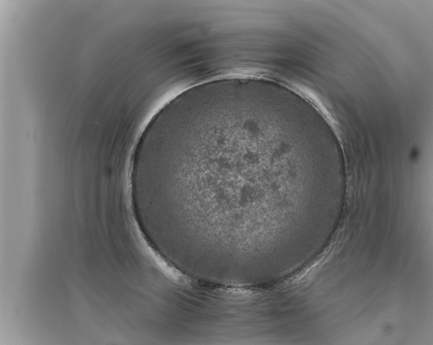 X0000095541235200712211340