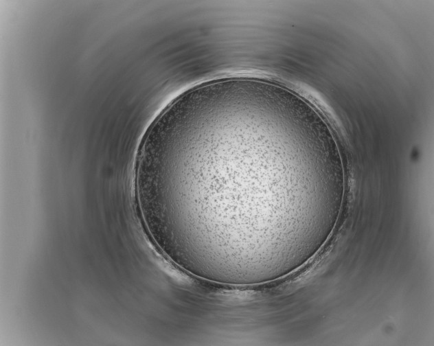 X0000095541236200712211340