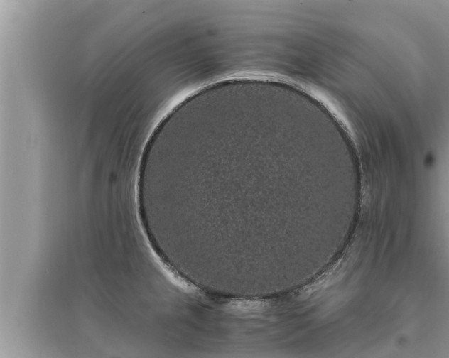 X0000095541237200712211340