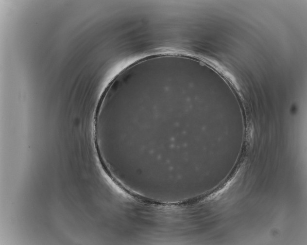 X0000095541239200712211340