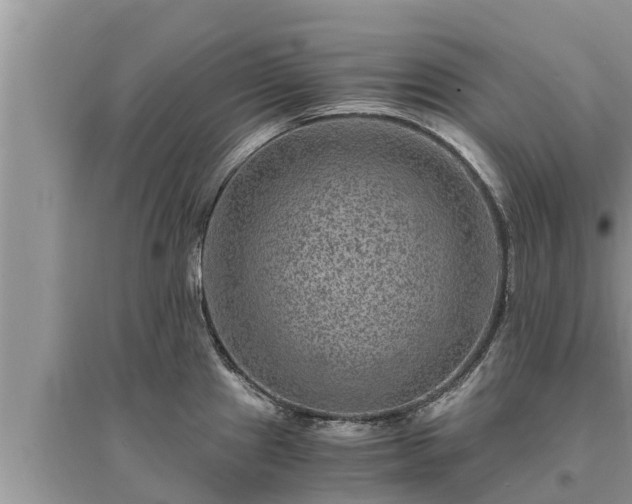 X0000095541241200712211340