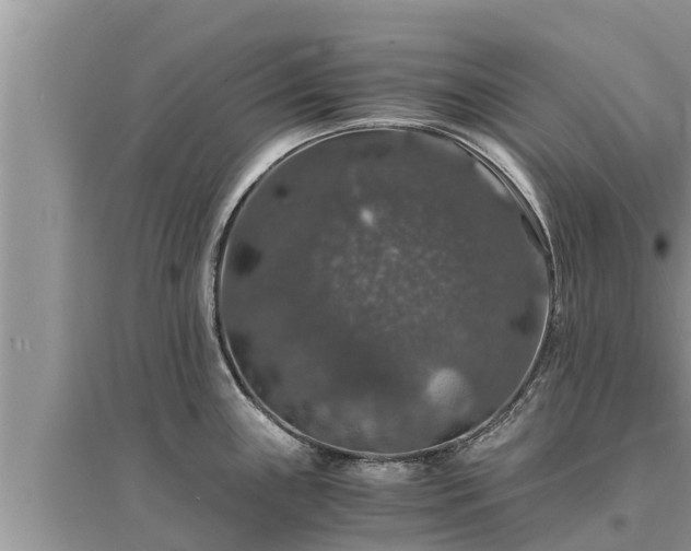 X0000095541243200712211340