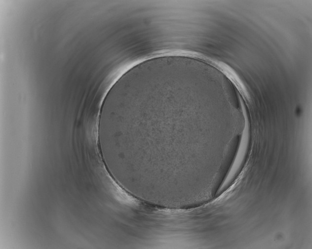 X0000095541244200712211340