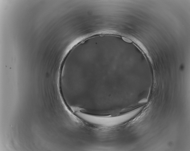 X0000095541245200712211340