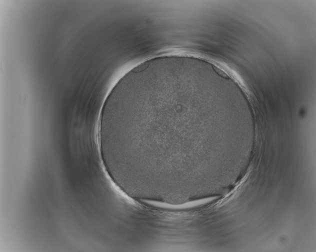 X0000095541247200712211340