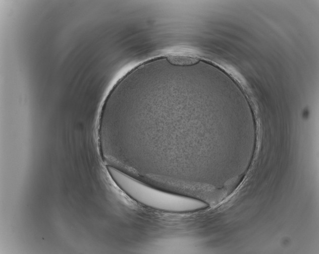 X0000095541248200712211340