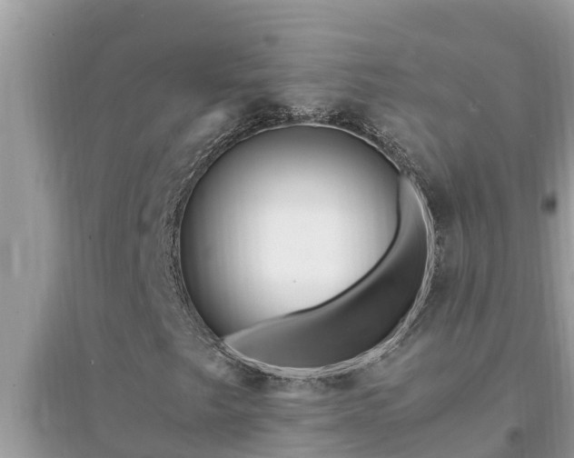 X0000095541249200712211340