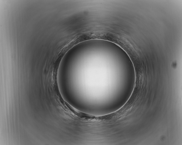 X0000095541250200712211340