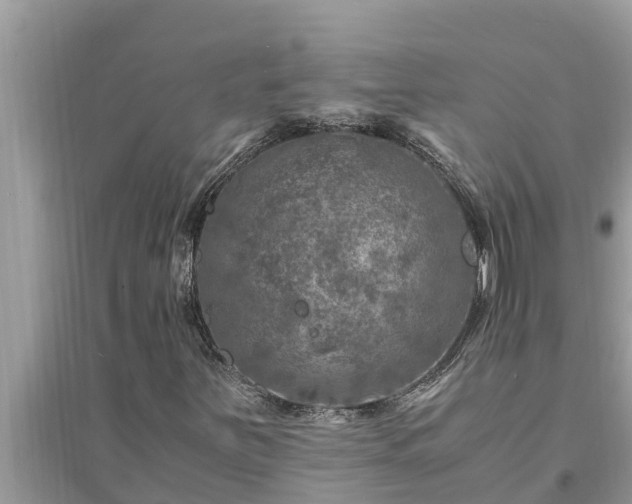 X0000095541251200712211340