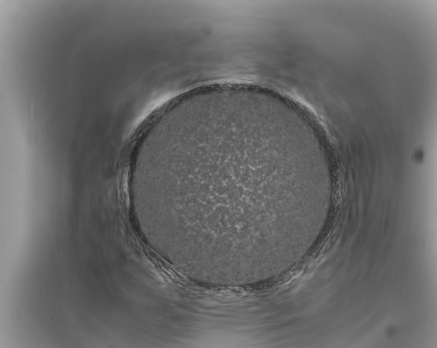 X0000095541255200712211340