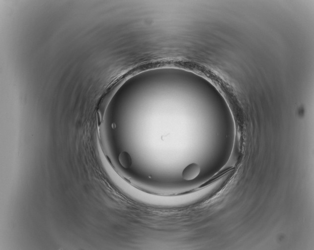 X0000095541257200712211340