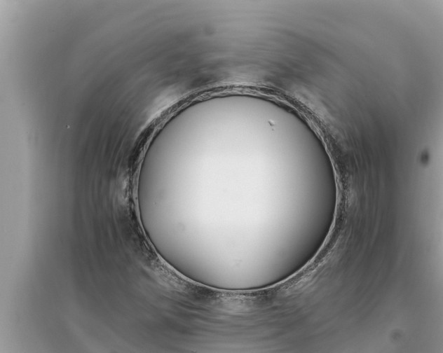 X0000095541258200712211340