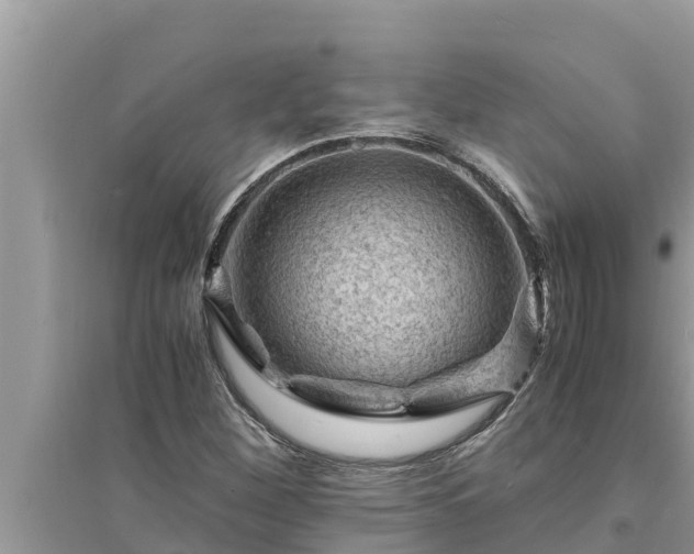 X0000095541260200712211340