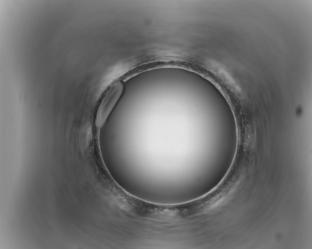 X0000095541261200712211340