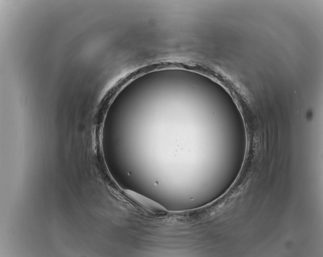 X0000095541262200712211340