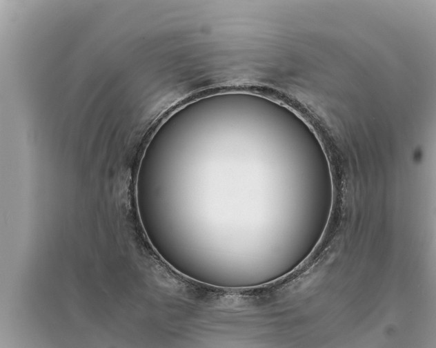 X0000095541265200712211340