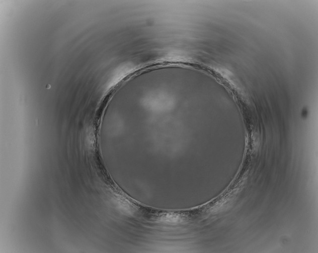 X0000095541266200712211340