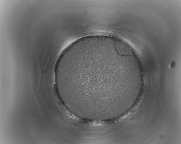 X0000095541267200712211340