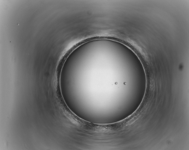 X0000095541270200712211339