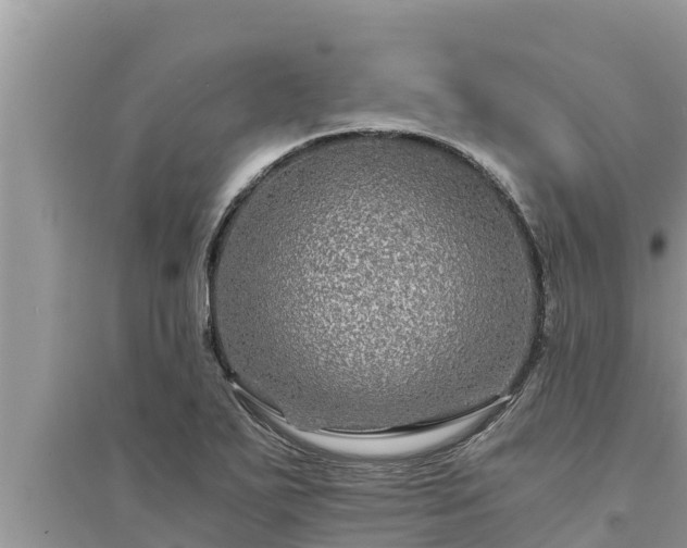 X0000095541271200712211339