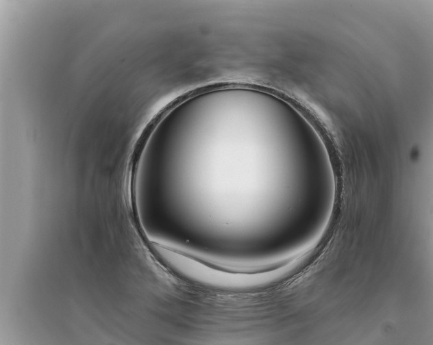 X0000095541272200712211339