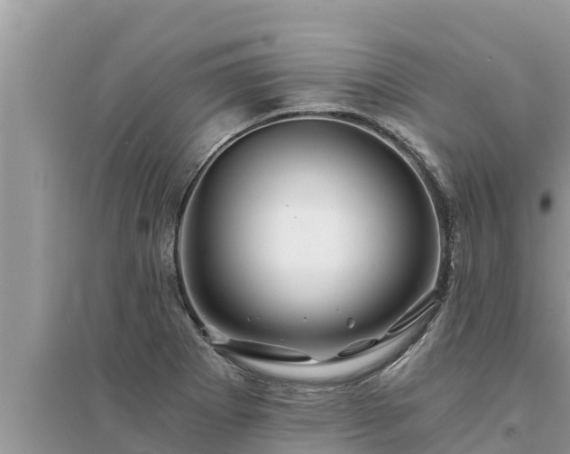 X0000095541273200712211339