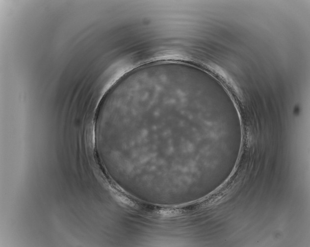 X0000095541274200712211339