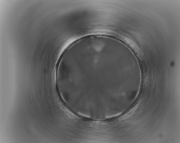 X0000095541275200712211339