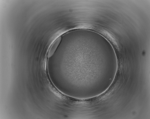 X0000095541276200712211339