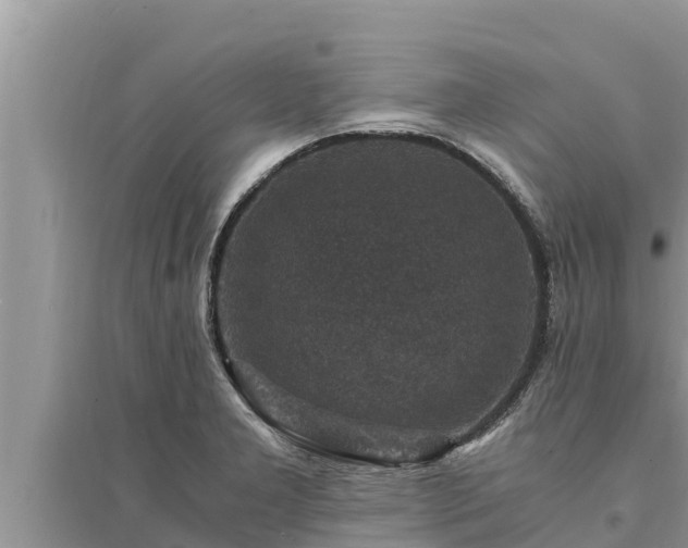 X0000095541277200712211339