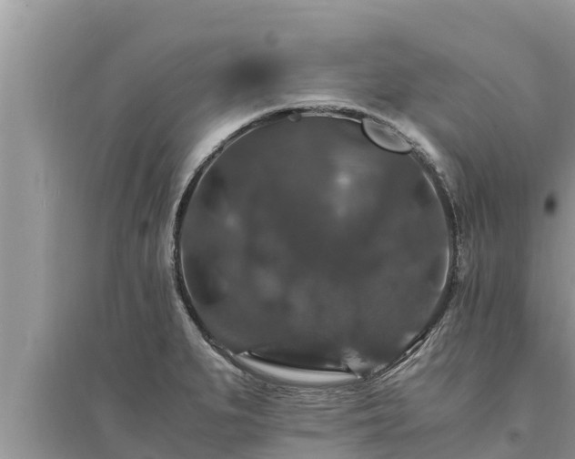 X0000095541279200712211339