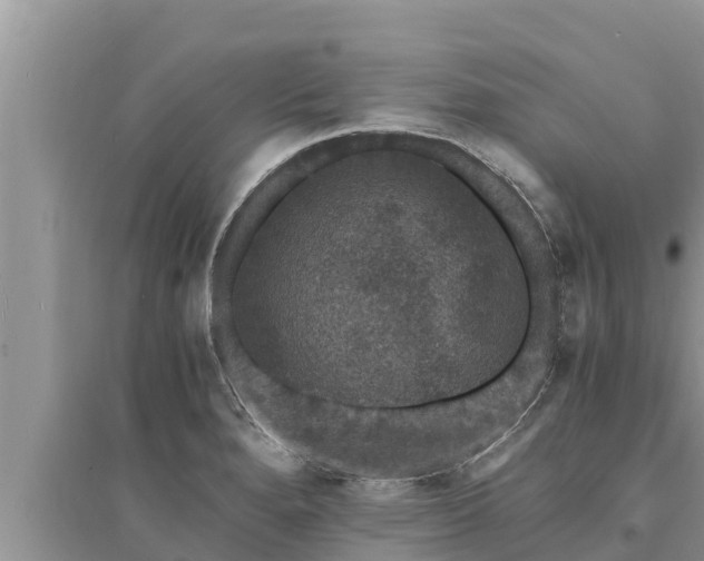 X0000095541280200712211339