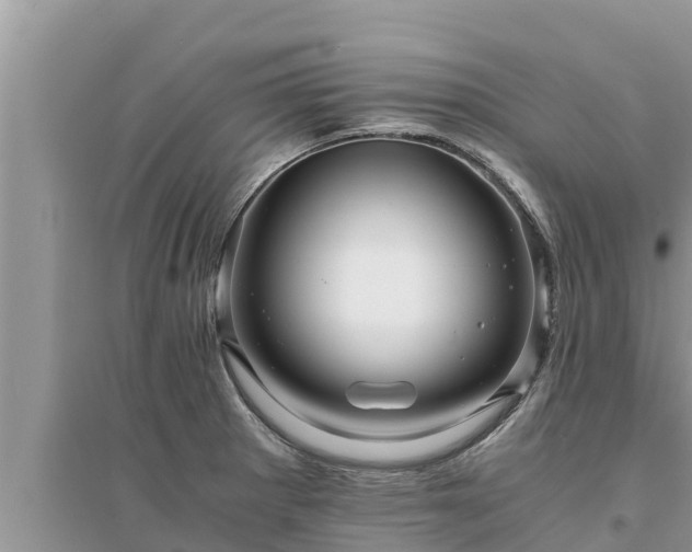 X0000095541281200712211339