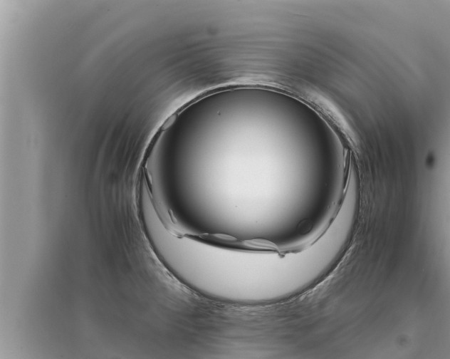 X0000095541284200712211339