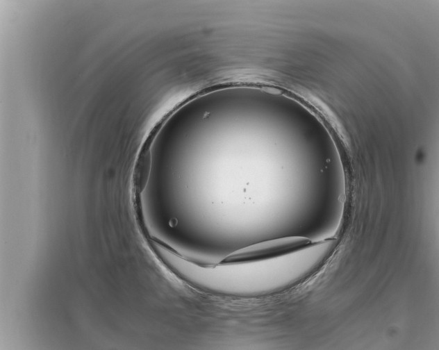 X0000095541285200712211339