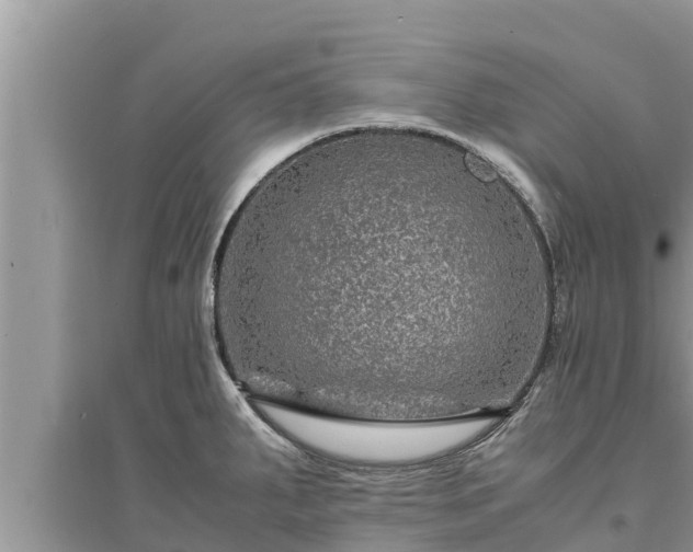 X0000095541287200712211339