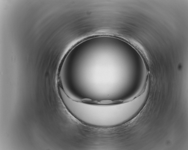 X0000095541288200712211339