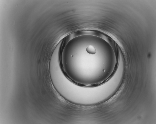 X0000095541289200712211339